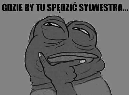 Żaba zastanawia się gdzie spędzić sylwestra